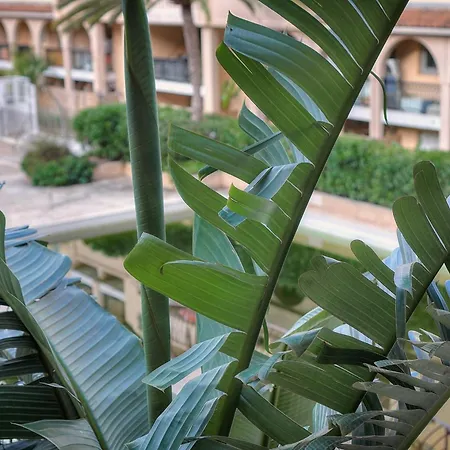 Les Cinq - 2 Min Mer - Piscine - Terrasse - Vca Apartment Cannes